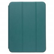 Чехол для планшета - TC003 Apple iPad 10 10.9 (2022) (сосновый зеленый) (рисунок) — 1