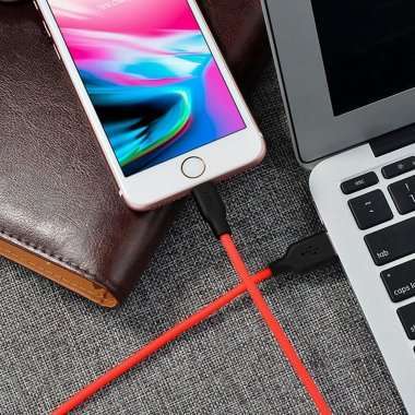 Кабель Hoco X21 Silicone для Apple (USB - Lightning) красно-черный — 4